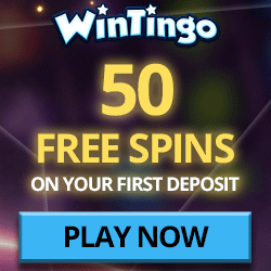 Wintingo free money no deposit casino